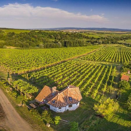 Robinson Vila Kitokret Kutjevo Экстерьер фото