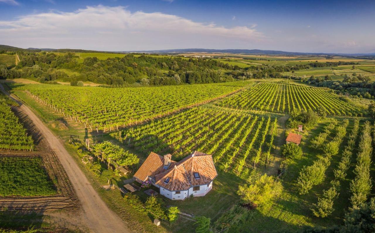 Robinson Vila Kitokret Kutjevo Экстерьер фото