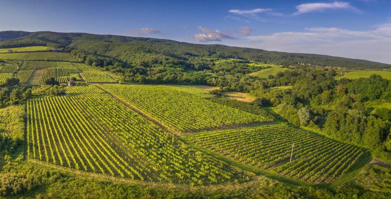 Robinson Vila Kitokret Kutjevo Экстерьер фото