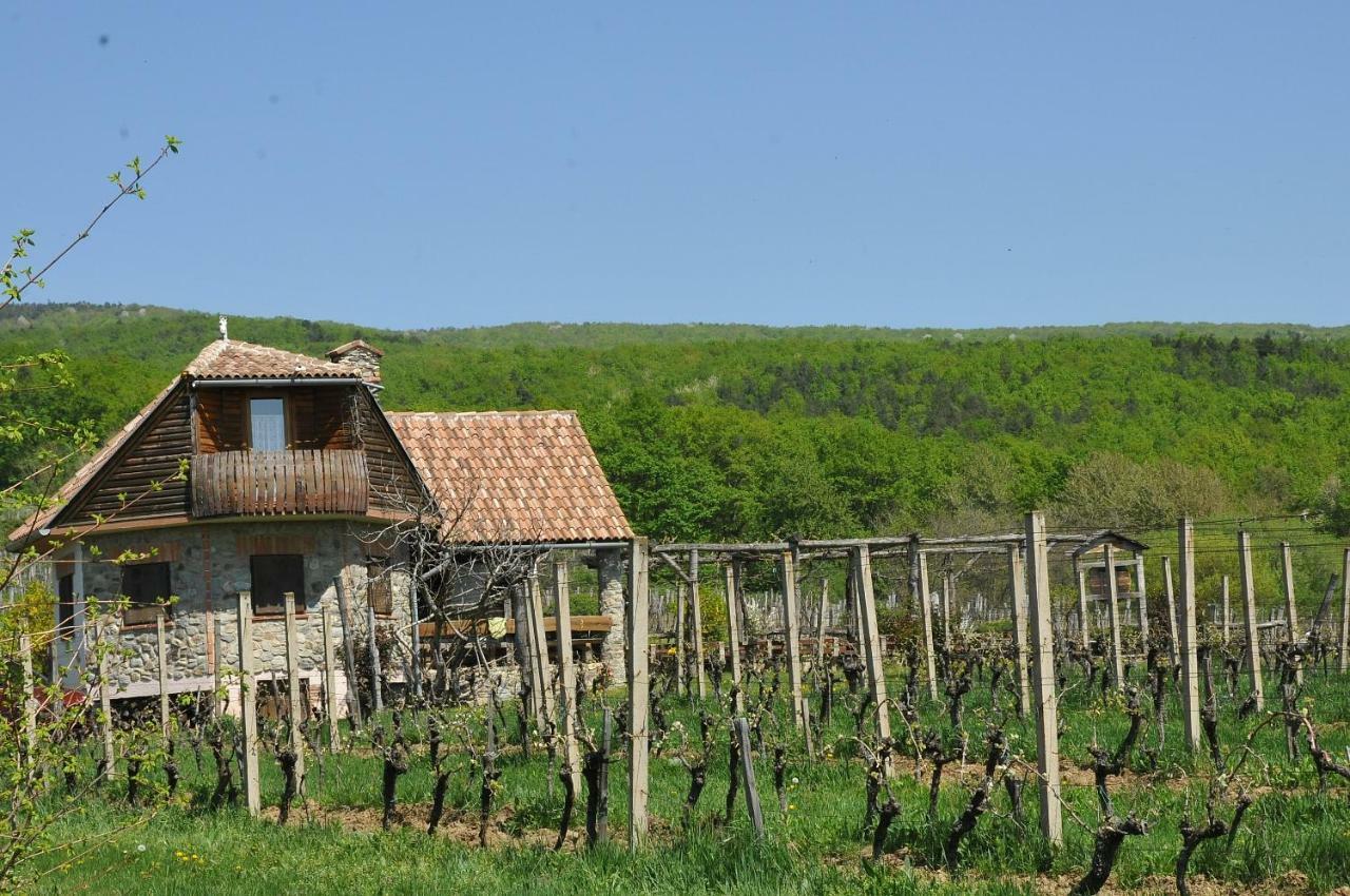 Robinson Vila Kitokret Kutjevo Экстерьер фото